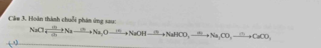 Hoàn thành chuỗi phản ứng sau:
NaClxrightarrow (1)Nato Na_2xrightarrow (3)Na_2Oxrightarrow (4)NaOHxrightarrow (5)NaHCO_3to Na_2CO_3to CaCO_3
()