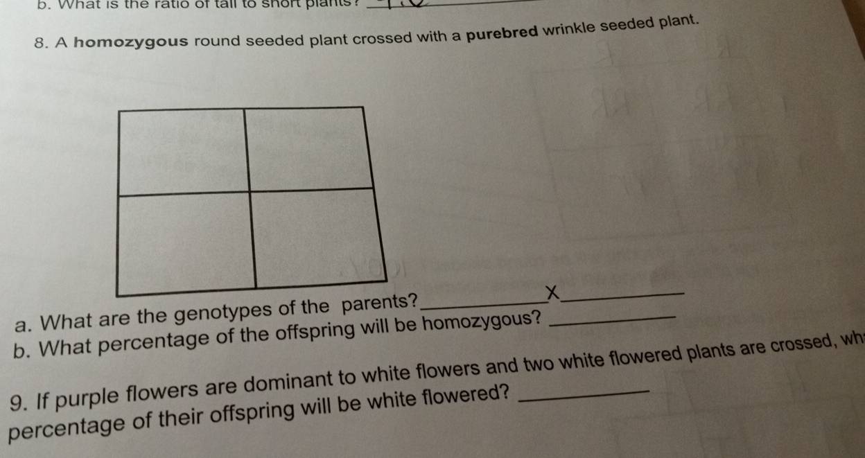 What is the ratio of tall to short plants?_ 
8. A homozygous round seeded plant crossed with a purebred wrinkle seeded plant. 
_X 
a. What are the genotypes of the ?_ 
b. What percentage of the offspring will be homozygous?_ 
9. If purple flowers are dominant to white flowers and two white flowered plants are crossed, wh 
percentage of their offspring will be white flowered?_