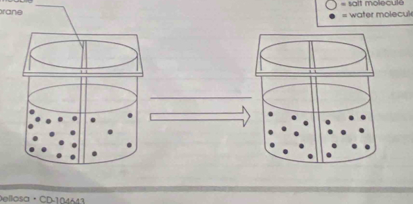 = salt molecule 
rane 
= water molecul 
_ 
Dellosa · CD -104643