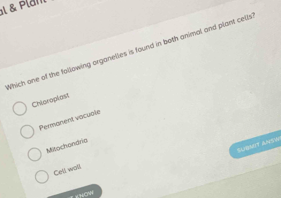 Plam
Which one of the following organelles is found in both animal and plant cells
Chloroplast
Permanent vacuole
SUBMIT ANSW
Mitochondria
Cell wall
KNOW