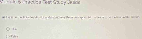 Module 5 Practice Test Study Guide
At the time the Apostles did not understand why Peter was appointed by Jesus to be the head of the church.
True
False