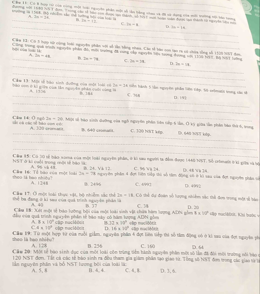 Có 8 hợp tử của cùng một loài nguyên phân một số lần bằng nhau và đã sử dụng của môi trường nội bào tương
đương với 1680 NST đơn. Trong các tế bảo con được tạo thành, số NST mới hoàn toàn được tạo thành từ nguyên liệu môi
trường là 1568. Bộ nhiểm sắc thể lưỡng bội của loài là 2n=12. C. 2n=8. D. 2n=14.
A. 2n=24. B.
_
_
_
_
Câu 12: Có 5 hợp tử cùng loài nguyên phân với số lần bằng nhau. Các tế bào con tạo ra có chứa tồng số 1520 NST đơn.
bội của loài là:
Cũng trong quá trình nguyên phân đó, môi trường đã cung cấp nguyên liệu tương đương với 1330 NST. Bộ NST lưỡng
A. 2n=48.
_
_
_B. 2n=78. C. 2n=38. D. 2n=18.
_
Câu 13: Một tế bào sinh dưỡng của một loài có 2n=24 tiến hành 5 lần nguyên phần liên tiệp. Sô crômatit trong các tê
bào con ở kỉ giữa của lần nguyên phân cuôi cùng là
_A. 1536 B. 384 C. 768 D. 192
_
_
Câu 14: Ở ngô 2n=20 0. Một tế bào sinh dưỡng của ngô nguyên phân liên tiếp 6 lần. Ở kỷ giữa lần phân bào thứ 6, trong
tất cả các tế bào con có:
_A. 320 cromatit. B. 640 cromatit. C. 320 NST kép. D. 640 NST kép.
_
_
Câu 15: Có 30 tế bào xoma của một loài nguyên phân, ở kì sau người ta đếm được 1440 NST. Số crômatit ở kì giữa và bộ
NST ở kì cuối trong một tế bào là:
A. 96 và 48. B. 24. Và 12. C. 96 Và 24. D. 48 Và 24.
Câu 16: Tế bào của một loài 2n=78 nguyên phân 4 đợt liên tiếp thì số tâm động có ở kì sau của đợt nguyên phân tiế
theo là bao nhiêu?
A. 1248 B. 2496 C. 4992 D. 4992
Câu 17: Ở một loài thực vật, bộ nhiễm sắc thể 2n=18. Có thể dự đoán số lượng nhiễm sắc thể đơn trong một tế bảo
thể ba đang ở kì sau của quá trình nguyên phân là
A. 40 B. 37 C. 38 D. 20
Câu 18: Xét một tế bào lưỡng bội của một loài sinh vật chứa hàm lượng ADN gồm 8* 10^9 cập nuclêôtít. Khi bước v
đầu của quá trình nguyên phân tế bào này có hàm lượng ADN gồm
A. 8* 10^9 cặp nuclêôtít B. 32* 10^9 cặp nuclêôtít
C. 4* 10^9 cặp nuclêôtit D. 16* 10^9 cặp nuclêôtít
Câu 19: Từ một hợp từ của ruồi giấm. nguyên phân 4 đợt liên tiếp thì số tâm động có ở kì sau của đợt nguyên phi
theo là bao nhiêu?
A. 128 B. 256 C. 160
D. 64
Câu 20: Một tế bào sinh dục của một loài côn trùng tiến hành nguyên phân một số lần đã đòi môi trường nôi bảo c
120 NST đơn. Tất cả các tế bào sinh ra đều tham gia giảm phân tạo giao từ. Tổng số NST đơn trong các giao từ là
lần nguyên phân và bố NST lương bôi của loài là:
A. 5, 8 B. 4, 4. C. 4, 8. D. 3, 6.