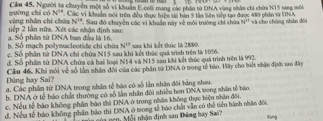 trong mn te báo 
Câu 45. Người ta chuyển một số vi khuẩn E.coli mang các phân từ DNA vùng nhân chi chứa N15 sang môi
trường chỉ có N^(14). Các vi khuẩn nói trên đều thực hiện tái bản 5 lần liên tiếp tạo được 480 phân tử DNA
vùng nhân chỉ chứa N^(14). Sau đó chuyển các vi khuẩn này về môi trường chỉ chứa N^(15) và cho chúng nhân đôi
tiếp 2 lần nữa. Xét các nhận định sau:
a. Số phân tử DNA ban đầu là 16.
b. Số mạch polynucleotide chỉ chứa N^(15) sau khi kết thúc là 2880.
c. Số phân tử DNA chỉ chứa N15 sau khi kết thúc quá trình trên là 1056.
d. Số phân tử DNA chứa cả hai loại N14 và N15 sau khi kết thúc quá trình trên là 992.
Câu 46. Khi nói về số lần nhân đôi của các phân tử DNA ở trong tế bảo. Hãy cho biết nhận định sau đây
Đúng hay Sai?
a. Các phân tử DNA trong nhân tế bào có số lần nhân đôi bằng nhau.
b. DNA ở tế bào chất thường có số lần nhân đôi nhiều hơn DNA trong nhân tế bào.
c. Nếu tế bào không phân bào thì DNA ở trong nhân không thực hiện nhân đôi.
d. Nếu tế bào không phân bào thì DNA ở trong tế bào chất vẫn có thể tiến hành nhân đôi.
của của gen, Mỗi nhận định sau Đúng hay Sai? Vùng