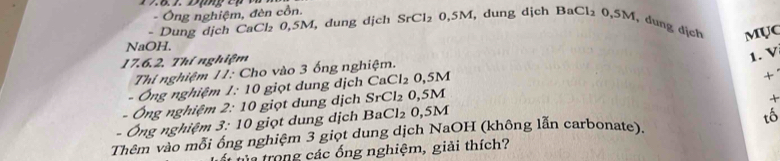 Ông nghiệm, đèn cồn. 
- Dung dịch CaCl₂ 0,5M, dung dịch SrCl_2 0, 5M, dung dịch BaCl₂ 0,5M, dung địch MụC 
NaOH.
17.6.2. Thí nghiệm 
1. V 
Thí nghiệm 11: Cho vào 3 ống nghiệm. 
- Ông nghiệm 1: 10 giọt dung dịch CaCl₂ 0,5M
+ 
- Ông nghiệm 2: 10 giọt dung dịch SrCl₂ 0,5M
+ 
- Ông nghiệm 3: 10 giọt dung dịch BaCl₂ 0,5M
Thêm vào mỗi ông nghiệm 3 giọt dung dịch NaOH (không lẫn carbonate). tố 
tủa trong các ống nghiệm, giải thích?