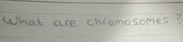 What are chiomosomes?