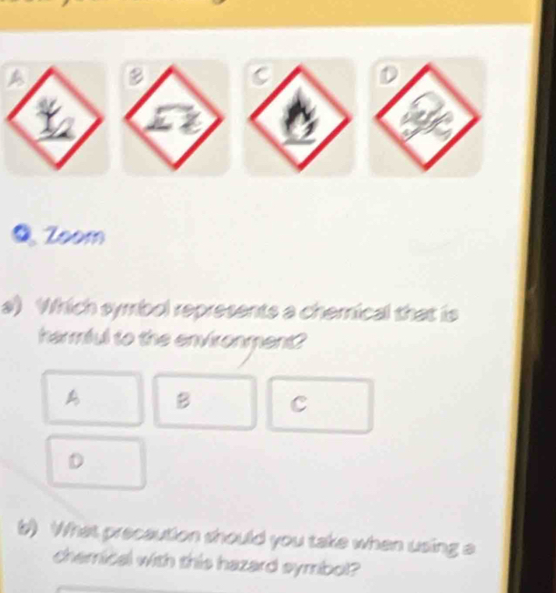 Zoom
a) Which symbol represents a chemical that is
harmful to the environment?
B C
D
b) What precaution should you take when using a
chemical with this hazard symbol?