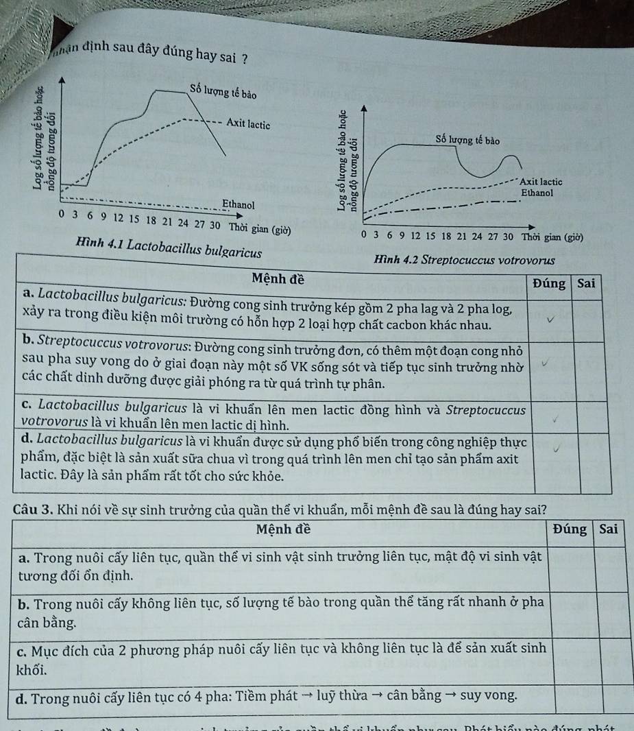 hận định sau đây đúng hay sai ?
Số lượng tế bào
2º B ố lượng tế bào
Axit lactic
Axit lactic
Ethanol
Ethanol
0 3 6 9 12 15 18 21 24 27 30 Thời gian (giờ) 0 3 6 9 12 15 18 21 24 27 30 Thời gian (giờ)
Hình 4.1 Lactobacillus bulgaricus
Hình 4.2 Streptocuccus votrovorus
Mệnh đề Đúng Sai
a. Lactobacillus bulgaricus: Đường cong sinh trưởng kép gồm 2 pha lag và 2 pha log,
xảy ra trong điều kiện môi trường có hỗn hợp 2 loại hợp chất cacbon khác nhau.
b. Streptocuccus votrovorus: Đường cong sinh trưởng đơn, có thêm một đoạn cong nhỏ
sau pha suy vong do ở giai đoạn này một số VK sống sót và tiếp tục sinh trưởng nhờ
các chất dinh dưỡng được giải phóng ra từ quá trình tự phân.
c. Lactobacillus bulgaricus là vi khuẩn lên men lactic đồng hình và Streptocuccus
votrovorus là vi khuẩn lên men lactic dị hình.
d. Lactobacillus bulgaricus là vi khuẩn được sử dụng phố biến trong công nghiệp thực
phẩm, đặc biệt là sản xuất sữa chua vì trong quá trình lên men chỉ tạo sản phẩm axit
lactic. Đây là sản phẩm rất tốt cho sức khỏe.