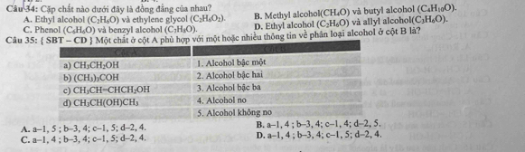 Cặp chất nào dưới đây là đồng đẳng của nhau? (C_4H_10O).
CH_4O)
A. Ethyl alcohol (C_2H_6O) và ethylene glycol (C_2H_4O_2).
C. Phenol (C_6H_6O) và benzyl alcohol (C_2H_3O). B. Methyl alcohol D. Ethyl alcohol (C_2H_6O) và butyl alcohol và allyl alcoho l(C_3H_6O).
Câu 35: SBT-CD Một chất ở cột A pợp với một hoặc nhiều thông tin về phân loại alcohol ở cột B là?
A. a-1,5;b-3,4;c-1,5;d-2,4,
B. a-1,4;b-3,4;c-1,4;d-2,5,
C. a-1,4;b-3,4;c-1,5;d-2,4.
D. a-1,4;b-3,4;c-1,5;d-2,4.