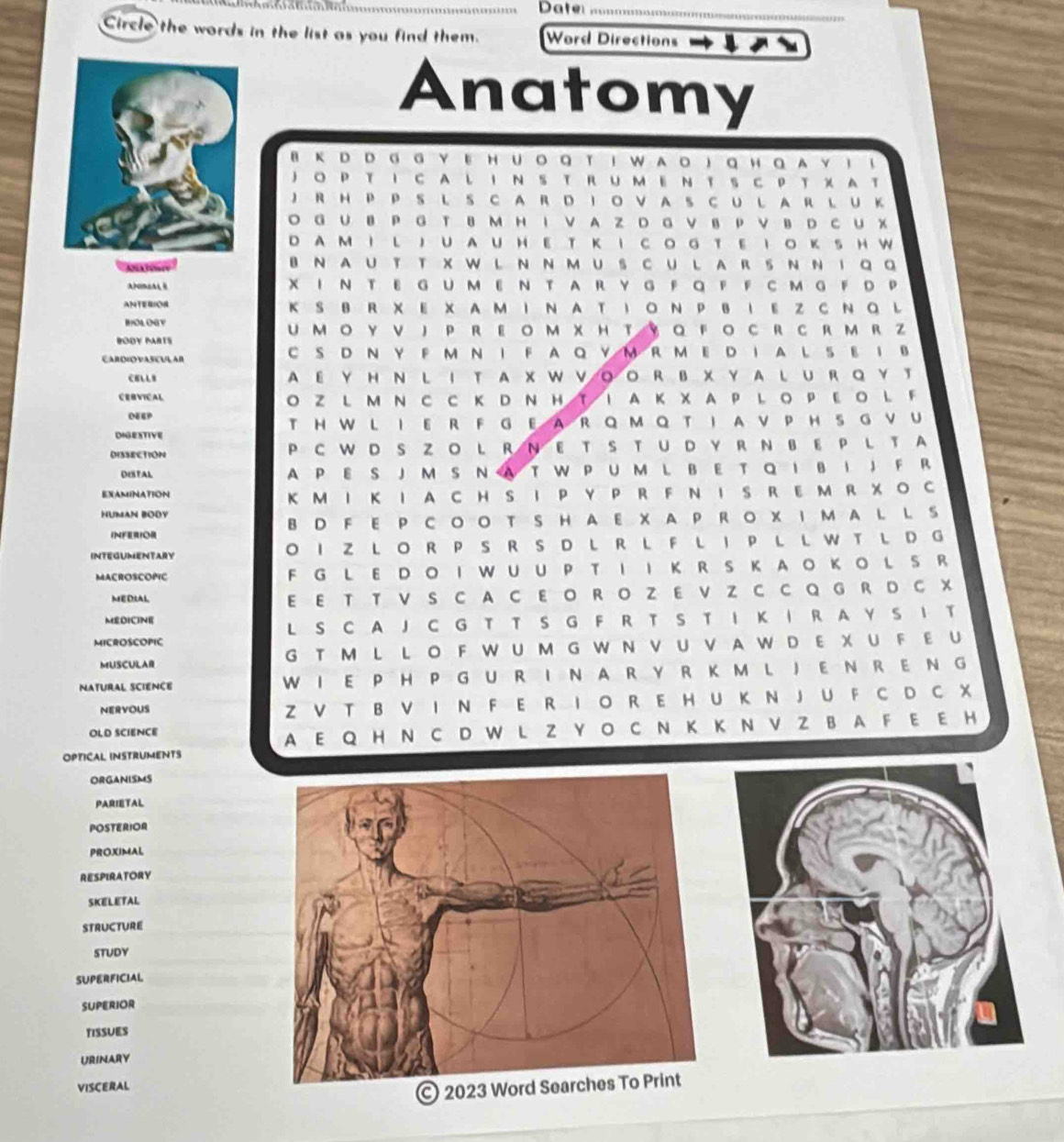 Date_
Circle the words in the list as you find them. Word Directions
Anatomy
8 Κ D D GG YΕ ΗU。Q T I WA。  Q HQAY 1 ！
J O P T I C A L I N S T RU M EN T S C P T XA T
J R H P P S L S C A R D I O V A S C U L A R L U K
O G U BP G T B M H I V A Z D G V B P V B D C U X
D A M I L J U AU HE T K I C O G T E I O K S H W
B N AU TT X W L N N MU S C U L A R S N N I Q Q
X I N T E G UM E N T AR Y G  FQ F F C MG F D P
ANTERIO K S B R X E X A M I N AT IO N P B I EZ C N Q L
IOLOGY UMO YVJP REOM XHTYQ FO C RCRMR Z
BODY MARTS
ARDIOVASEUL AR C S D N Y F M N I F A Q Y M R M E D I A L S E I B
CELLS AEYHN L IT A X W VQORBXYAL URQ Y T
CERVICAL O Z L M NCCK DN H T I A K X A P L O P E O L F
DEEP
DIGESTIVE T HWL IER F G E ARQ MQ T I AVP HS G VU
DISSECTION PC WD S ZO L R N E T S T UD Y R N BE P L T A
DESTAL A P E S J M S N A T W P U M L B E T Q I B I J F R
EXAMINATION K M I K I A CH S I P Y P R F N I S RE M R XO C
HUMAN BODY
INFERIOR BD F E P COO T S HAE X A PRO X I M A L L  S
INTEGUMENTARY O I Z LO R P S R S D L R L F L I P L L W T L D G
MACROSCOPIC F G L E DOIWUUP T II K R S K AO KOLS R
MEDMAL E E T T V S C A C E O R O Z E V Z C C Q G R D C X
MEDICINE
MICROSCOPIC L S C A J C G T T S G F R T S TI K I R A Y S I T
MUSCULAR G T M L L O F W U M G W N V U V  A W D E X U F  EU
NATURAL SCIENCE WI E P H P G U R I N A R Y RK M L JE N R E N G
NERYOUS Z V T B V I N F E R I O R E H U K N JU F C D C X
OLD SCIENCE
A E Q H N C D WL Z Y O C N K K N V Z BA F E E H
OPTICAL INSTRUMENTS
ORGANISMS
PARIETAL
POSTERIOR
PROXIMAL
RESPIRATORY
SKELETAL
STRUCTURE
STUDY
SUPERFICIAL
SUPERIOR
TISSUES
URINARY
VISCERAL