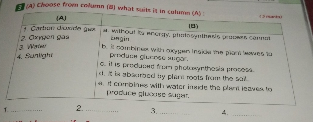 5 (A) Choose from column ( 
1._ 
2._ 
3._ 
4._