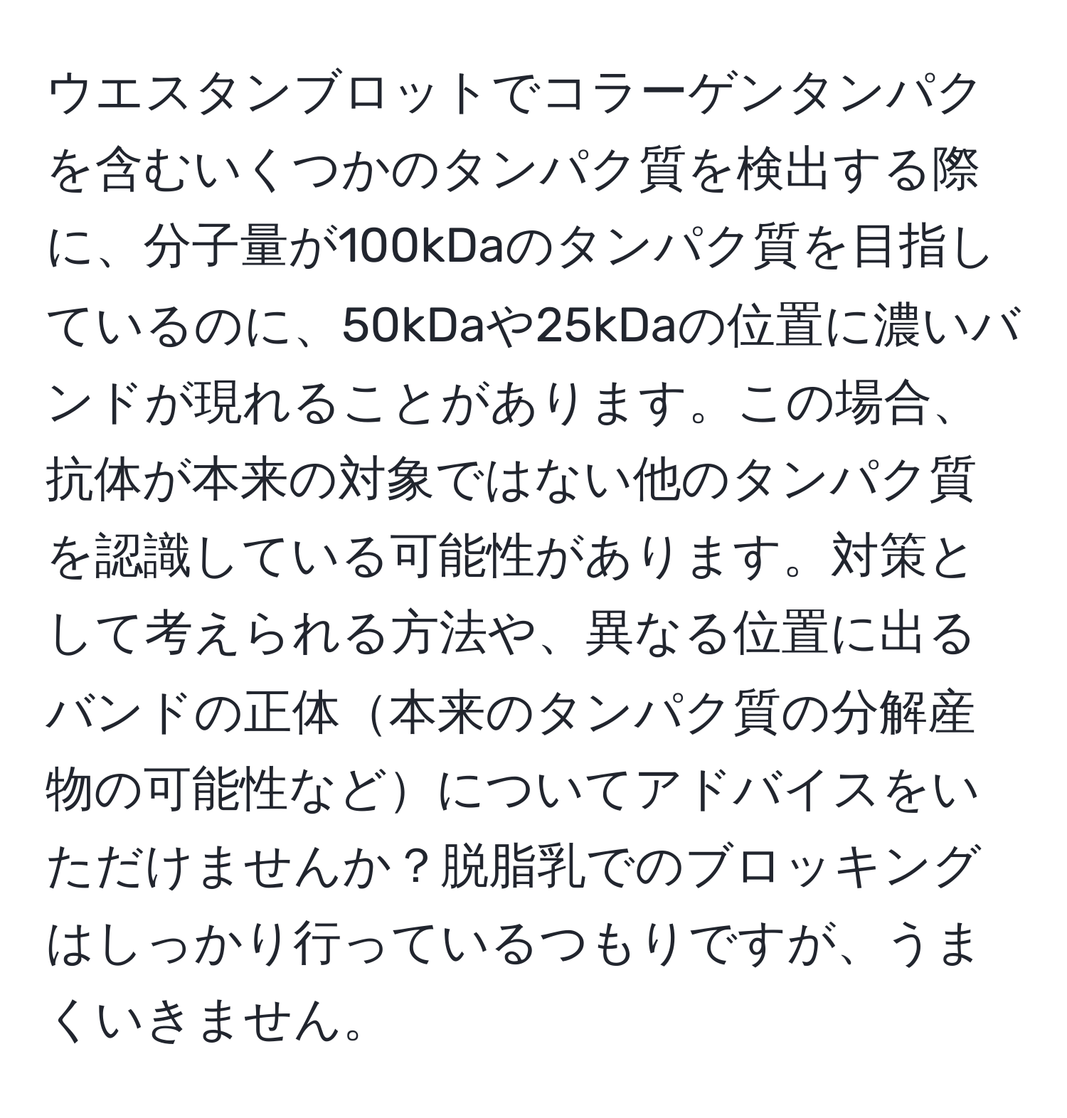 ウエスタンブロットでコラーゲンタンパクを含むいくつかのタンパク質を検出する際に、分子量が100kDaのタンパク質を目指しているのに、50kDaや25kDaの位置に濃いバンドが現れることがあります。この場合、抗体が本来の対象ではない他のタンパク質を認識している可能性があります。対策として考えられる方法や、異なる位置に出るバンドの正体本来のタンパク質の分解産物の可能性などについてアドバイスをいただけませんか？脱脂乳でのブロッキングはしっかり行っているつもりですが、うまくいきません。