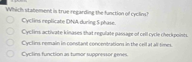 Which statement is true regarding the function of cyclins?
Cyclins replicate DNA during S phase.
Cyclins activate kinases that regulate passage of cell cycle checkpoints.
Cyclins remain in constant concentrations in the cell at all times.
Cyclins function as tumor suppressor genes.