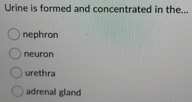 Urine is formed and concentrated in the...
nephron
neuron
urethra
adrenal gland