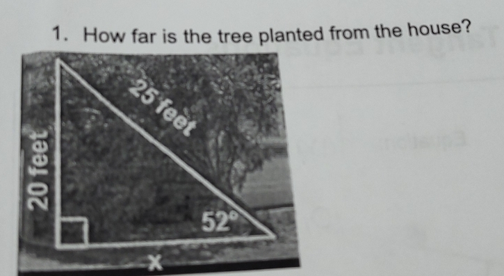 How far is the tree planted from the house?