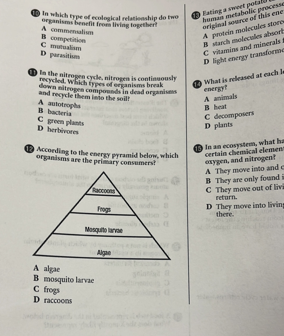 Eating a sweet potato
10 In which type of ecological relationship do two human metabolic processe
organisms benefit from living together?
original source of this ene
A commensalism
B competition
A protein molecules store
C mutualism
B starch molecules absort
D parasitism
C vitamins and minerals
D light energy transforme
1 In the nitrogen cycle, nitrogen is continuously
recycled. Which types of organisms break
14 What is released at each l
down nitrogen compounds in dead organisms energy?
and recycle them into the soil? A animals
A autotrophs
B heat
B bacteria
C decomposers
C green plants
D plants
D herbivores
In an ecosystem, what ha
12 According to the energy pyramid below, which certain chemical elemen
organisms are the primary consumers? oxygen, and nitrogen?
A They move into and o
B They are only found i
C They move out of livi
return.
D They move into living
there.
A algae
B mosquito larvae
C frogs
D raccoons