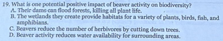 What is one potential positive impact of beaver activity on biodiversity?
A. Their dams can flood forests, killing all plant life.
B. The wetlands they create provide habitats for a variety of plants, birds, fish, and
amphibians.
C. Beavers reduce the number of herbivores by cutting down trees.
D. Beaver activity reduces water availability for surrounding areas.