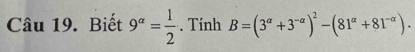 Biết 9^(alpha)= 1/2 . Tính B=(3^(alpha)+3^(-alpha))^2-(81^(alpha)+81^(-alpha)).