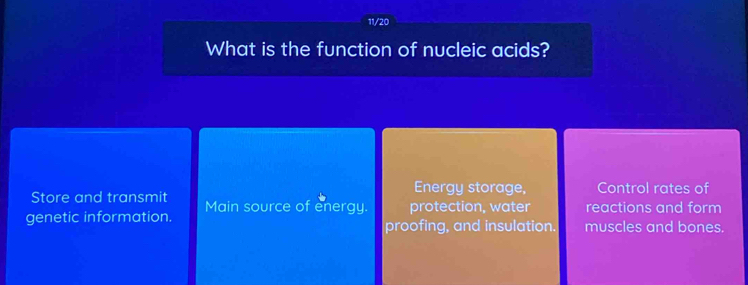 11/20
What is the function of nucleic acids?
Energy storage, Control rates of
Store and transmit Main source of energy. protection, water reactions and form
genetic information. proofing, and insulation. muscles and bones.