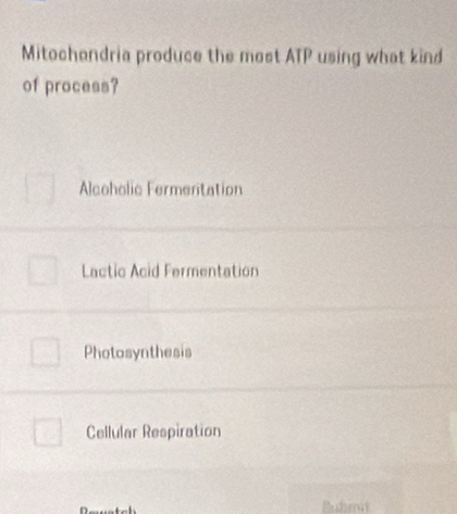 Mitochondria produce the most ATP using what kind
of process?
Alcoholic Fermentation
Lactic Acid Fermentation
Photosynthesis
Cellular Respiration
Bubmit