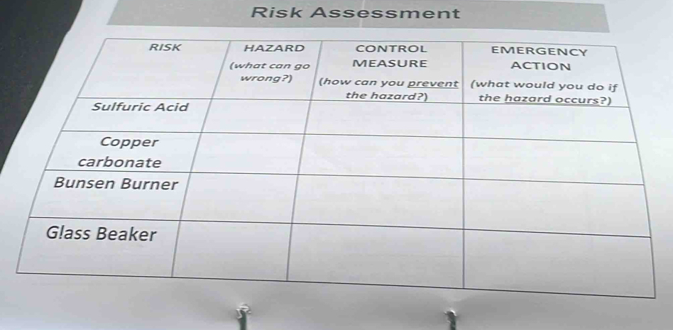 Risk Assessment