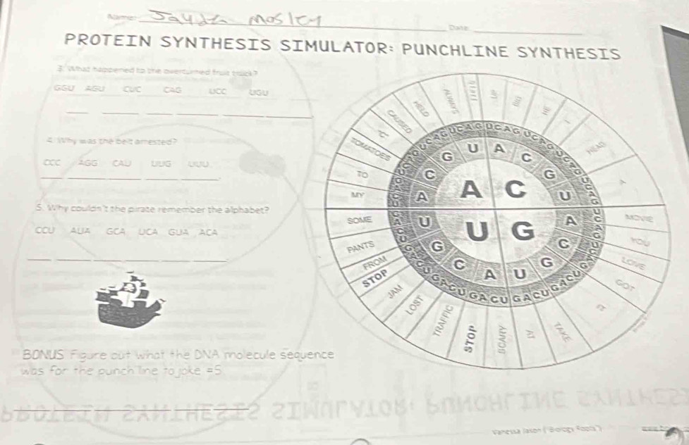 Name_ 
Date_ 
PROTEIN SYNTHESIS SIMULATOR: PUNCHLINE SYNTHESIS 
3: What happened to the overturned fruis trock? 
GGU ASU CụC CAG UCC UGU 
_ 
___ 
_ 
4. Why was the belt amested? 
AGG CAU UUG 
__ 
5. Why couldn't the pirate remember the alphabet? 
CCU AUA GCA UCA GUA ACA 
_ 
BONUS Figure out what the DNA molecule sequ 
was for the punch line tojoke =5 
Sboleih Zahlhezić Ziwnrvloß: Łrmo| 
Jason (Boop Rasa')