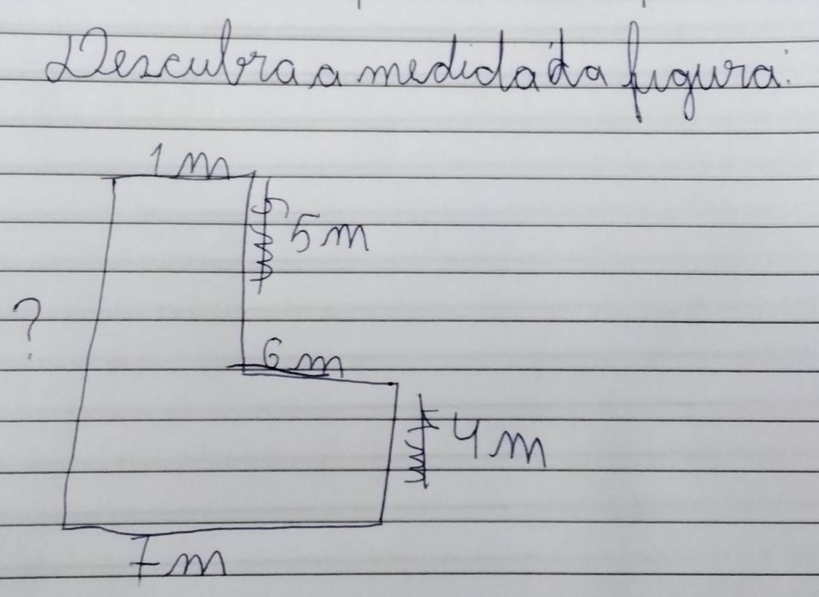 dDecculyia a madudada fuguia 
Im 
× 5m
6m
Im