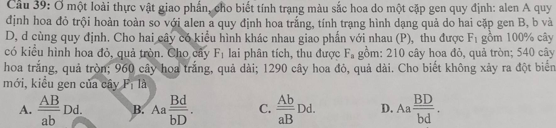 Ở một loài thực vật giao phấn, cho biết tính trạng màu sắc hoa do một cặp gen quy định: alen A quy
định hoa đỏ trội hoàn toàn so với alen a quy định hoa trắng, tính trạng hình dạng quả do hai cặp gen B, b và
D, d cùng quy định. Cho hai cây có kiểu hình khác nhau giao phần với nhau (P), thu được F_1 gồm 100% cây
có kiểu hình hoa đỏ, quả tròn. Cho cây F_1 lai phân tích, thu được F_a gồm: 210 cây hoa đỏ, quả tròn; 540 cây
hoa trắng, quả tròn; 960 cây hoa trắng, quả dài; 1290 cây hoa đỏ, quả dài. Cho biết không xảy ra đột biển
mới, kiểu gen của cây Fị là
A. frac _ ABabDd. Aa Bd/bD . frac _ AbaBDd. Aa BD/bd . 
B.
C.
D.