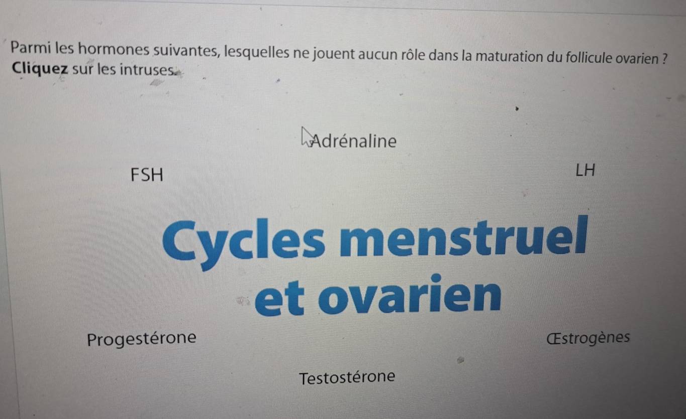 Parmi les hormones suivantes, lesquelles ne jouent aucun rôle dans la maturation du follicule ovarien ?
Cliquez sur les intruses
Adrénaline
FSH
LH
Cycles menstruel
et ovarien
Progestérone Œstrogènes
Testostérone