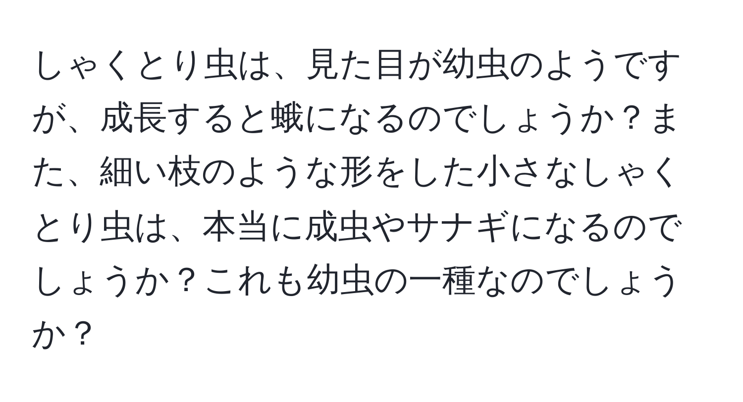 しゃくとり虫は、見た目が幼虫のようですが、成長すると蛾になるのでしょうか？また、細い枝のような形をした小さなしゃくとり虫は、本当に成虫やサナギになるのでしょうか？これも幼虫の一種なのでしょうか？