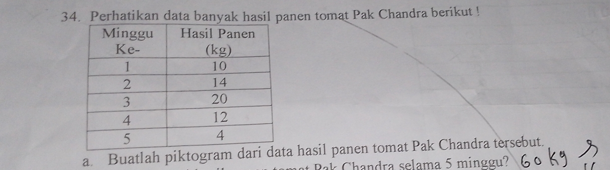 Perhatikan data banyak hasil panen tomat Pak Chandra berikut ! 
a. Buatlah piktogram daria hasil panen tomat Pak Chandra tersebut. 
ak Chandra selama 5 minggu?