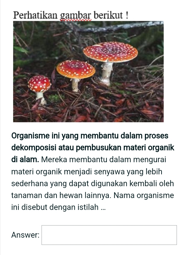 Perhatikan gambar berikut ! 
Organisme ini yang membantu dalam proses 
dekomposisi atau pembusukan materi organik 
di alam. Mereka membantu dalam mengurai 
materi organik menjadi senyawa yang lebih 
sederhana yang dapat digunakan kembali oleh 
tanaman dan hewan lainnya. Nama organisme 
ini disebut dengan istilah ... 
Answer: □