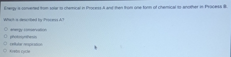 Energy is converted from solar to chemical in Process A and then from one form of chemical to another in Process B.
Which is described by Process A?
energy conservation
pholosynthesis
cellular respiration
Krebs cycle