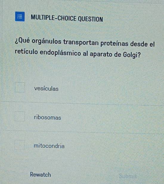 MULTIPLE-CHOICE QUESTION
¿Qué orgánulos transportan proteínas desde el
retículo endoplásmico al aparato de Golgi?
vesículas
ribosomas
mitocondria
Rewatch Suamit