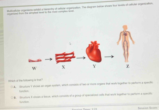 Multicellular organisms exhibit a hierarchy of cellular organization. The diagram below shows four levels of cellular organization,
organized from the simplest level to the most complex level.
Which of the following is true?
A. Structure Y shows an organ system, which consists of two or more organs that work together to perform a specific
function.
B. Structure X shows a tissue, which consists of a group of specialized cells that work together to perform a specific
function.
mar Session Score: