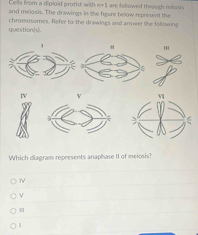 Cells from a diploid protist with n=1 are followed through mitosis
and meiosis. The drawings in the fgure below represent the
chromosomes. Refer to the drawings and answer the following
question(s).
''
IV
Which diagram represents anaphase II of meiosis?
IV
V
III