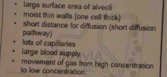 large surface area of alveoli
moist thin walls (one cell thick)
short distance for diffusion (short diffusion
pathway)
lots of capillaries
large blood supply
movement of gas from high concentration
to low concentration.