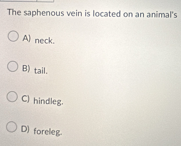 The saphenous vein is located on an animal's
A) neck.
B) tail.
C) hindleg.
D) foreleg.