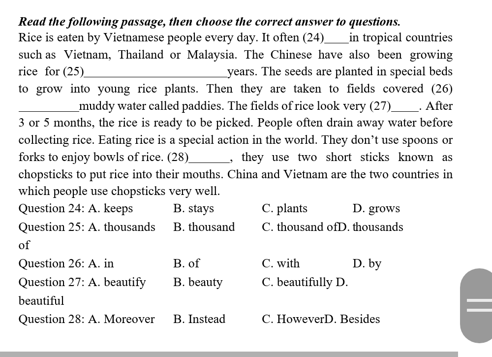 Read the following passage, then choose the correct answer to questions.
Rice is eaten by Vietnamese people every day. It often (24)_ in tropical countries
such as Vietnam, Thailand or Malaysia. The Chinese have also been growing
rice for (25)_ years. The seeds are planted in special beds
to grow into young rice plants. Then they are taken to fields covered (26)
_muddy water called paddies. The fields of rice look very (27)_ . After
3 or 5 months, the rice is ready to be picked. People often drain away water before
collecting rice. Eating rice is a special action in the world. They don’t use spoons or
forks to enjoy bowls of rice. (28)_ , they use two short sticks known as 
chopsticks to put rice into their mouths. China and Vietnam are the two countries in
which people use chopsticks very well.
Question 24:A . keeps B. stays C. plants D. grows
Question 25:A . thousands B. thousand C. thousand ofD. thousands
of
Question 26:A . in B. of C. with D. by
Question 27:A . beautify B. beauty C. beautifully D.
beautiful
Question 28:A . Moreover B. Instead C. HoweverD. Besides