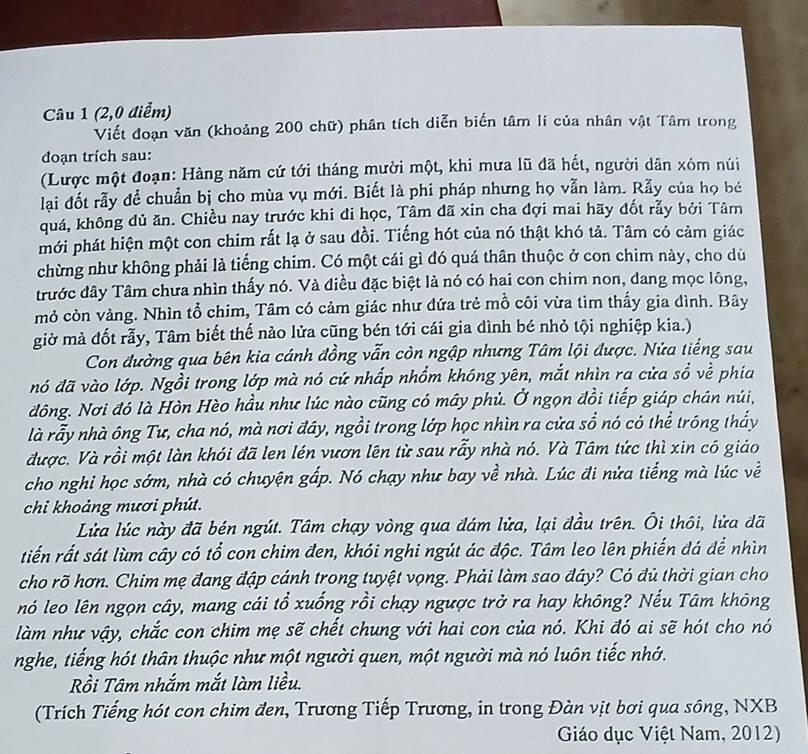 (2,0 điểm)
Viết đoạn văn (khoảng 200 chữ) phân tích diễn biển tâm lí của nhân vật Tâm trong
doạn trích sau:
(Lược một đoạn: Hàng năm cứ tới tháng mười một, khi mưa lũ đã hết, người dân xóm núi
lại đốt rẫy để chuẩn bị cho mùa vụ mới. Biết là phi pháp nhưng họ vẫn làm. Rẫy của họ bé
quá, không dủ ăn. Chiều nay trước khi đi học, Tâm đã xin cha dợi mai hãy đốt rẫy bởi Tâm
mới phát hiện một con chim rất lạ ở sau đồi. Tiếng hót của nó thật khó tả. Tâm có cảm giác
chừng như không phải là tiếng chim. Có một cái gì đó quá thân thuộc ở con chim này, cho dù
trước đây Tâm chưa nhìn thấy nó. Và điều đặc biệt là nó có hai con chim non, dang mọc lông,
mỏ còn vàng. Nhìn tổ chim, Tâm có cảm giác như đứa trẻ mồ côi vừa tìm thấy gia đình. Bây
giờ mà đốt rẫy, Tâm biết thế nào lửa cũng bén tới cái gia dình bé nhỏ tội nghiệp kia.)
Con đường qua bên kia cánh đồng vẫn còn ngập nhưng Tâm lội được. Nửa tiếng sau
nó đã vào lớp. Ngồi trong lớp mà nó cứ nhấp nhồm không yên, mắt nhìn ra cửa sổ về phia
đông. Nơi đó là Hòn Hèo hầu như lúc nào cũng có máy phủ. Ở ngọn đồi tiếp giáp chân núi,
là rẫy nhà ông Tư, cha nó, mà nơi đây, ngồi trong lớp học nhìn ra cửa sổ nó có thể trông thấy
được. Và rồi một làn khói đã len lén vươn lên từ sau rẫy nhà nó. Và Tâm tức thì xin có giảo
cho nghi học sớm, nhà có chuyện gấp. Nó chạy như bay về nhà. Lúc đi nửa tiếng mà lúc về
chi khoảng mươi phút.
Lửa lúc này đã bén ngút. Tâm chạy vòng qua đám lửa, lại đầu trên. Ôi thôi, lửa đã
tiến rất sát lùm cây có tổ con chim đen, khói nghi ngút ác độc. Tâm leo lên phiến đá để nhìn
cho rõ hơn. Chim mẹ đang đập cánh trong tuyệt vọng. Phải làm sao đây? Có đủ thời gian cho
nó leo lên ngọn cây, mang cái tổ xuống rồi chạy ngược trở ra hay không? Nếu Tâm không
làm như vậy, chắc con chim mẹ sẽ chết chung với hai con của nó. Khi đó ai sẽ hót cho nó
nghe, tiếng hót thân thuộc như một người quen, một người mà nó luôn tiếc nhớ.
Rồi Tâm nhắm mắt làm liều.
(Trích Tiếng hót con chim đen, Trương Tiếp Trương, in trong Đàn vịt bơi qua sông, NXB
Giáo dục Việt Nam, 2012)