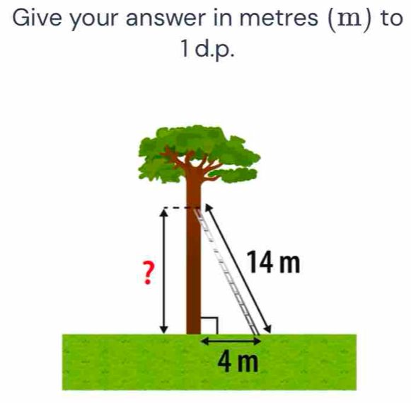 Give your answer in metres (m) to
1 d.p. 
?
14m
4m