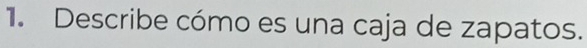 Describe cómo es una caja de zapatos.