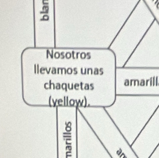 Nosotros 
llevamos unas 
chaquetas amarill 
(vellow). 
an