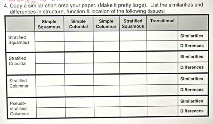 Copy a similar chart onto your paper. (Make it pretty large). List the similarities and