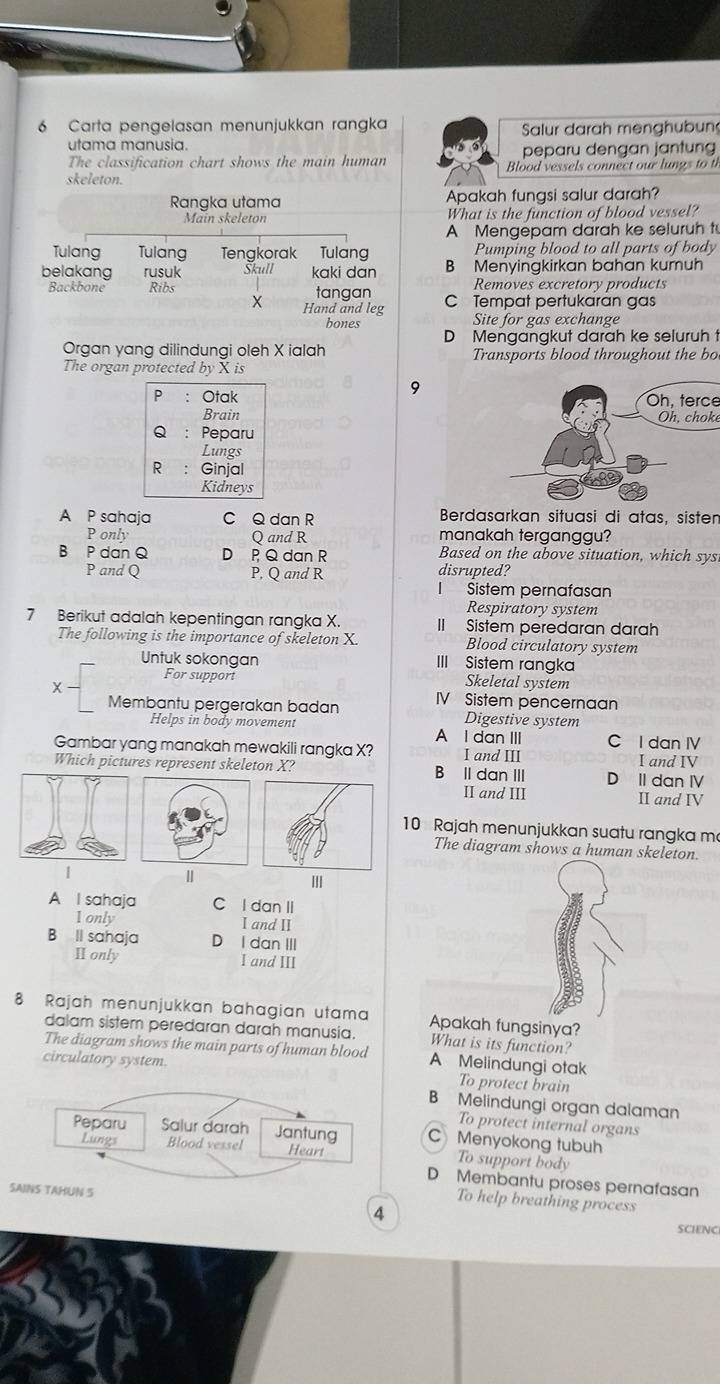 Carta pengelasan menunjukkan rangka Salur darah menghubun
utama manusia.
The classification chart shows the main human peparu dengan jantung
skeleton. Blood vessels connect our lungs to th
Rangka utama Apakah fungsi salur darah?
Main skeleton What is the function of blood vessel?
A Mengepam darah ke seluruh t
Tulang Tulang Tengkorak Tulang Pumping blood to all parts of body
belakang rusuk Skull kaki dan B Menyingkirkan bahan kumuh
Removes excretory products
Backbone Ribs tangan C Tempat pertukaran gas
X Hand and leg Site for gas exchange
bones
Organ yang dilindungi oleh X ialah D Mengangkut darah ke seluruh t
Transports blood throughout the bo
The organ protected by X is
9
Oh, terce
Oh, choke
A P sahaja C Q dan R  Berdasarkan situasi di atas, sisten
P only Q and R manakah terganggu?
B P dan Q D P Q dan R Based on the above situation, which sys
P and Q P, Q and R disrupted?
I Sistem pernafasan
Respiratory system
7 Berikut adalah kepentingan rangka X. II Sistem peredaran darah
The following is the importance of skeleton X. Blood circulatory system
Untuk sokongan III Sistem rangka
For support Skeletal system
x - IV Sistem pencernaan
Membantu pergerakan badan Digestive system
Helps in body movement
A I dan III
Gambar yang manakah mewakili rangka X? I and III C I dan IV I and IV
Which pictures represent skeleton X? B II dan III D II dan IV
II and III II and IV
10 Rajah menunjukkan suatu rangka m
The diagram shows a human skeleton.
Ⅱ
A I sahaja C l dan II
1 only I and II
B II sahaja D I dan III
II only I and III
8 Rajah menunjukkan bahagian utama Apakah fungsinya?
dalam sistem peredaran darah manusia. What is its function?
The diagram shows the main parts of human blood A Melindungi otak
circulatory system.
To protect brain
B Melindungi organ dalaman
To protect internal organs
C Menyokong tubuh
To support body
D Membantu proses pernafasan
SAINS TAHUN 5
To help breathing process
4
SCIENC