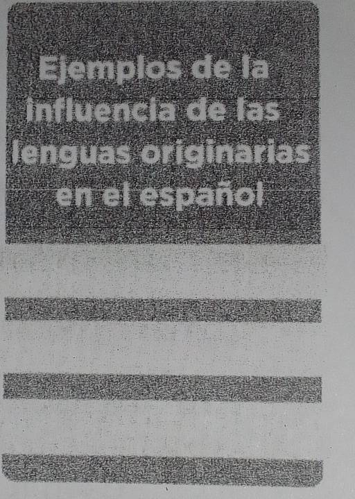 Ejemplos de la 
influencia de las 
enguas originarias 
en el español 
d