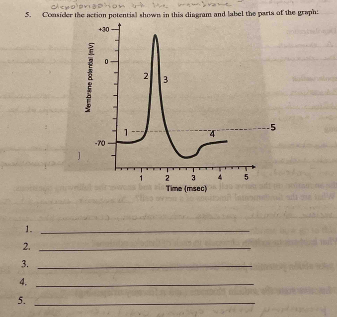 Solved: Consider the action potential shown in this diagram and label ...