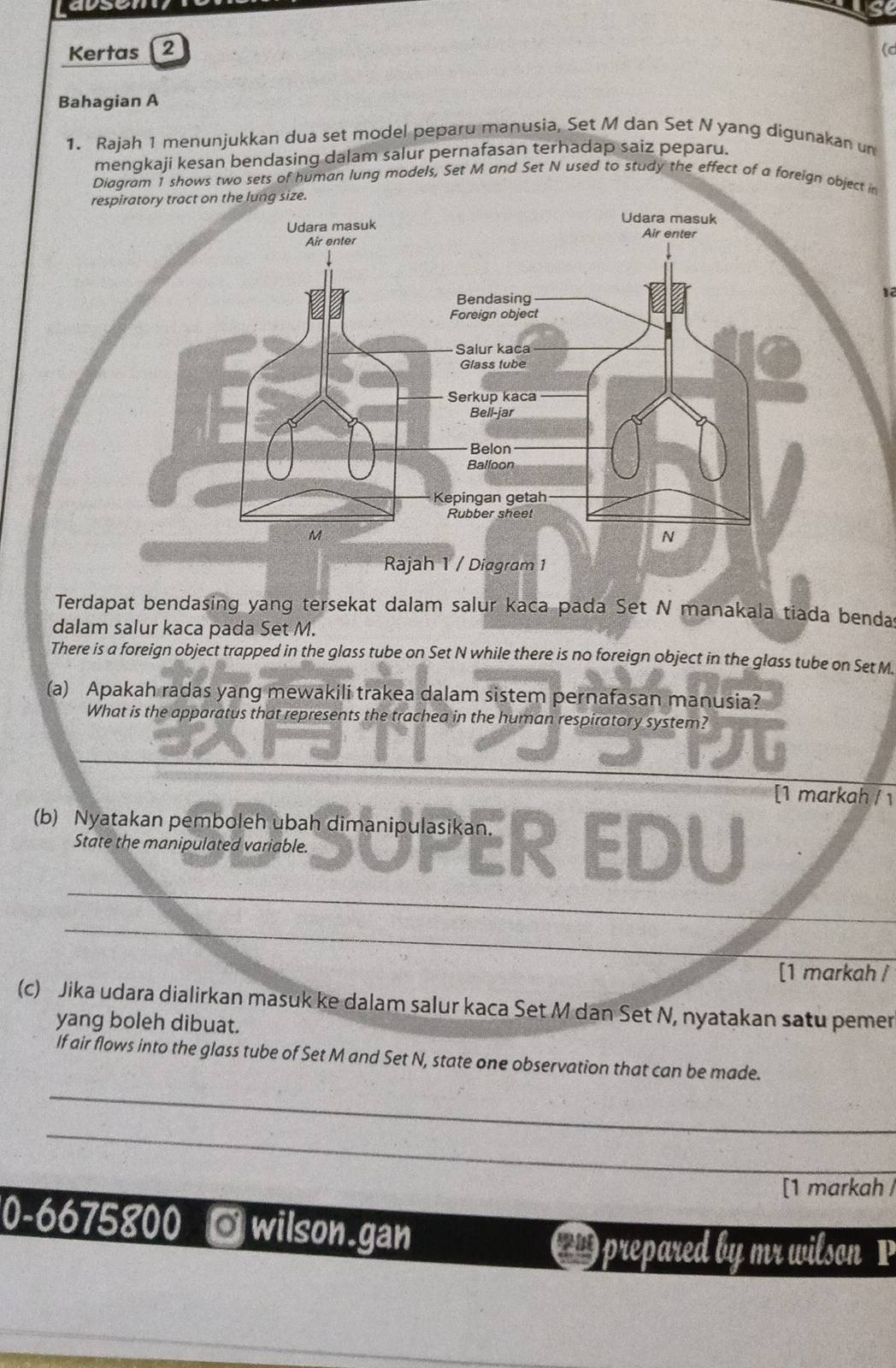 av 
uase 
Kertas 2 (c 
Bahagian A 
1. Rajah 1 menunjukkan dua set model peparu manusia, Set M dan Set N yang digunakan un 
mengkaji kesan bendasing dalam salur pernafasan terhadap saiz peparu. 
Diagram 1 shows two sets of human lung models, Set M and Set N used to study the effect of a foreign object in 
size. 
Terdapat bendasing yang tersekat dalam salur kaca pada Set N manakala tiada benda 
dalam salur kaca pada Set M. 
There is a foreign object trapped in the glass tube on Set N while there is no foreign object in the glass tube on Set M. 
(a) Apakah radas yang mewakili trakea dalam sistem pernafasan manusia? 
What is the apparatus that represents the trachea in the human respiratory system? 
[1 markah / 1 
_ 
(b) Nyatakan pemboleh ubah dimanipulasikan. R EDU 
State the manipulated variable. 
_ 
_ 
[1 markah / 
(c) Jika udara dialirkan masuk ke dalam salur kaca Set M dan Set N, nyatakan satu pemer 
yang boleh dibuat. 
If air flows into the glass tube of Set M and Set N, state one observation that can be made. 
_ 
_ 
[1 markah 
0-6675800 O wilson.gan a prepared by mr wilson P