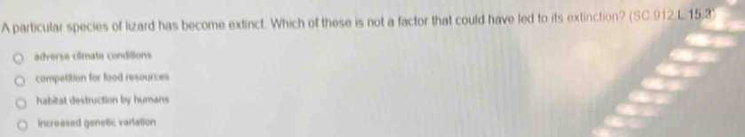 A particular species of lizard has become extinct. Which of these is not a factor that could have led to its extinction? (SC.912 L.15.3)
adverse climate conditions
competition for food resources
habitat destruction by humans
increased genetic variation