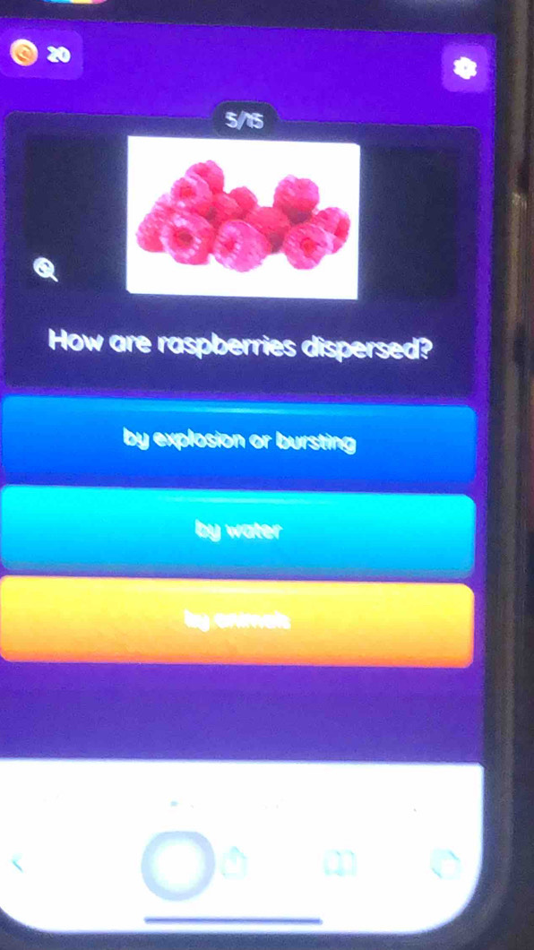 20
5/15
How are raspberries dispersed?
by explosion or bursting
water
by enmal