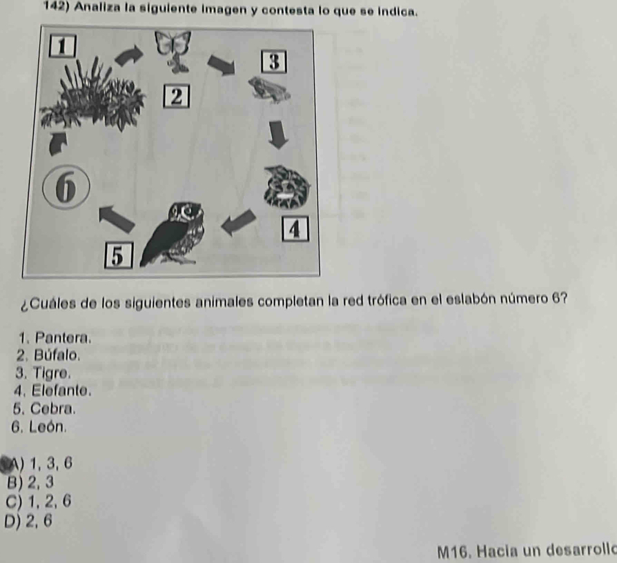 Analiza la siguiente imagen y contesta lo que se indica.
¿Cuáles de los siguientes animales completan la red trófica en el eslabón número 6?
1. Pantera.
2. Búfalo.
3. Tigre.
4. Elefante.
5. Cebra.
6. León.
(A) 1, 3, 6
B) 2, 3
C) 1, 2, 6
D) 2,6
M16. Hacia un desarrollo